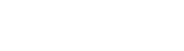 Orlando Driveway Logo